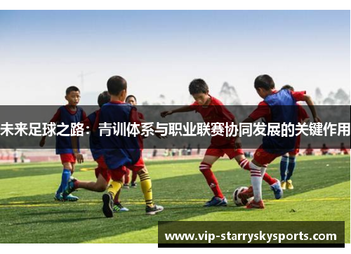未来足球之路：青训体系与职业联赛协同发展的关键作用