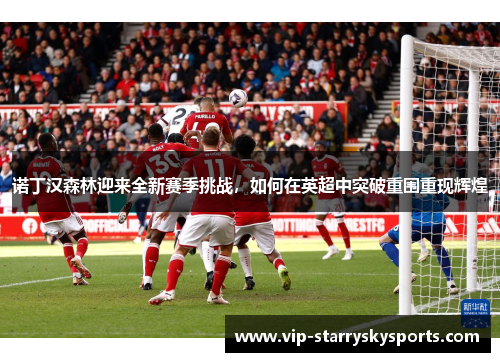 诺丁汉森林迎来全新赛季挑战，如何在英超中突破重围重现辉煌