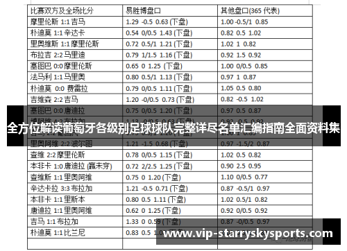 全方位解读葡萄牙各级别足球球队完整详尽名单汇编指南全面资料集 全方位解读葡萄牙各级别足球球队完整详尽名单汇编指南全面资料集
