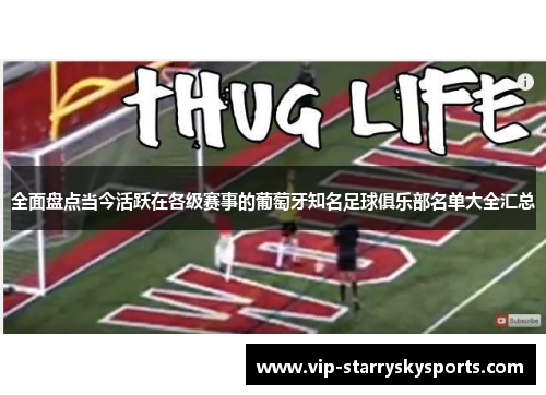 全面盘点当今活跃在各级赛事的葡萄牙知名足球俱乐部名单大全汇总