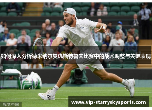 如何深入分析德米纳尔复仇斯特鲁夫比赛中的战术调整与关键表现