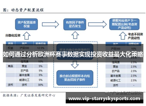 如何通过分析欧洲杯赛事数据实现投资收益最大化策略 如何通过分析欧洲杯赛事数据实现投资收益最大化策略