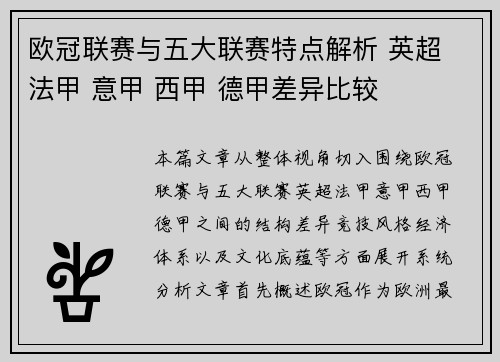 欧冠联赛与五大联赛特点解析 英超 法甲 意甲 西甲 德甲差异比较 欧冠联赛与五大联赛特点解析 英超 法甲 意甲 西甲 德甲差异比较